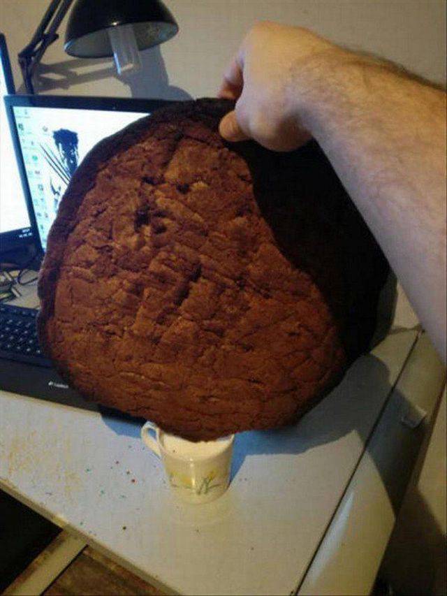 daily picdump 104 pics 9.html - 104 HD Photos | Premium Gallery 2017