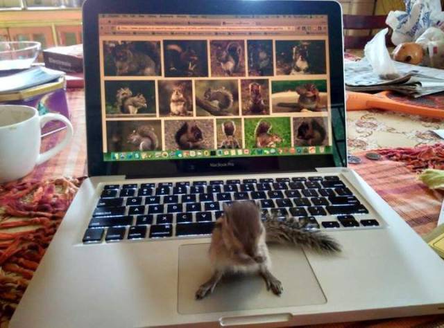 daily picdump 97 pics 9.html - 97 HD Photos | Premium Gallery 2017