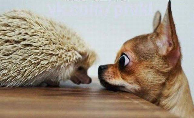 daily picdump 97 pics 9.html - 97 HD Photos | Premium Gallery 2017