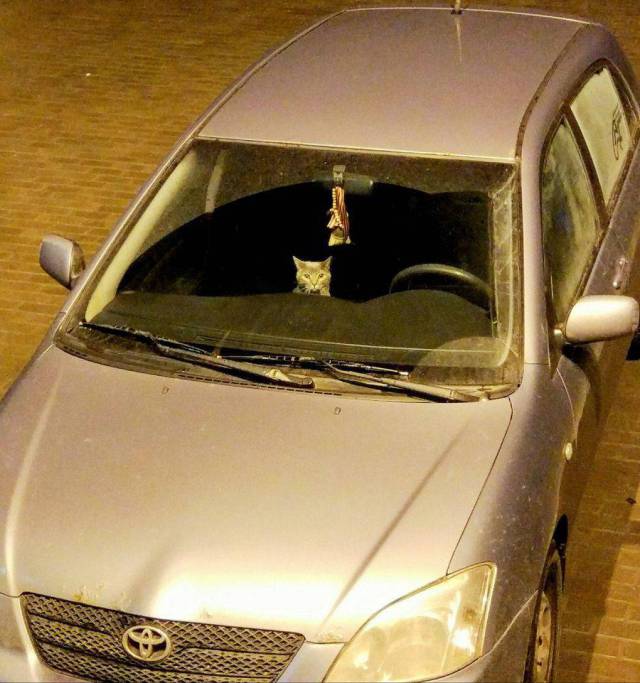 daily picdump 97 pics 9.html - 97 HD Photos | Premium Gallery 2017