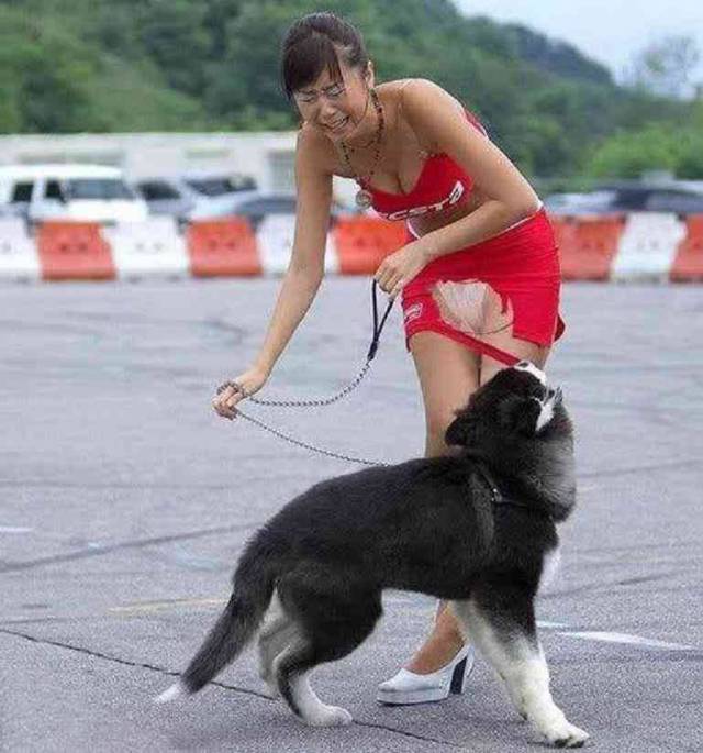 daily picdump 97 pics 9.html - 97 HD Photos | Premium Gallery 2017