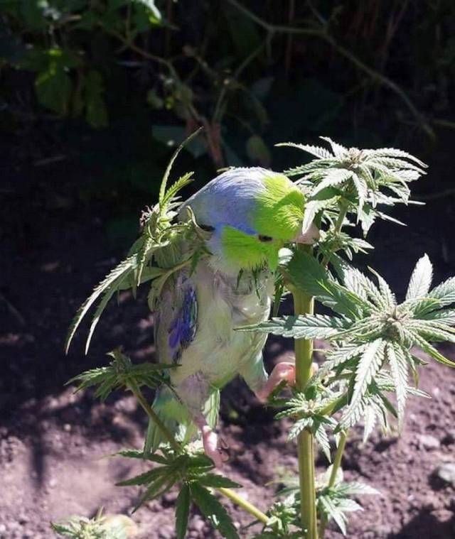 daily picdump 97 pics 9.html - 97 HD Photos | Premium Gallery 2017