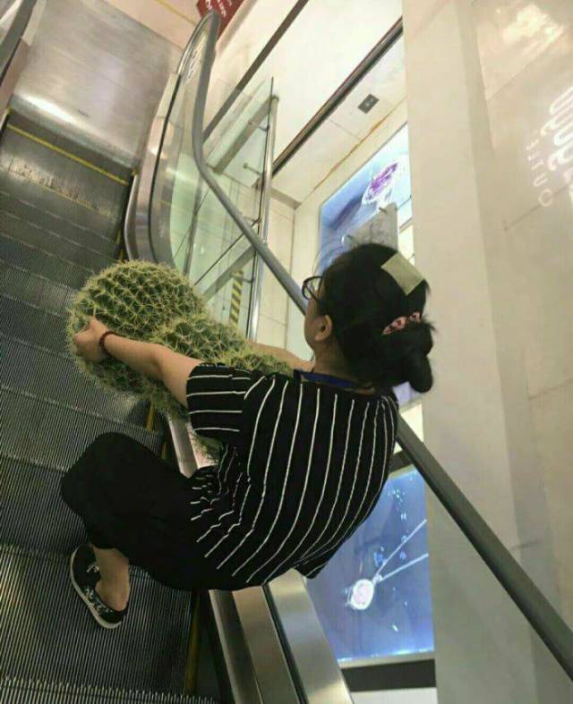 daily picdump 97 pics 9.html - 97 HD Photos | Premium Gallery 2017