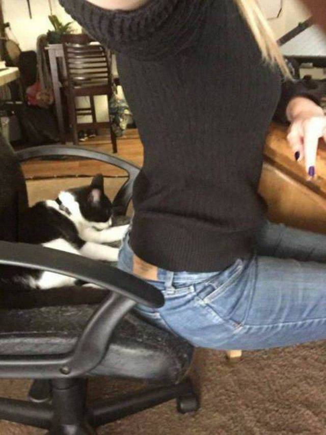 daily picdump 97 pics 9.html - 97 HD Photos | Premium Gallery 2017