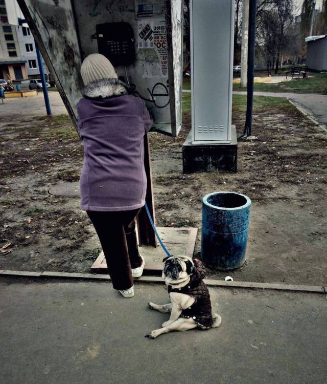 daily picdump 97 pics 9.html - 97 HD Photos | Premium Gallery 2017