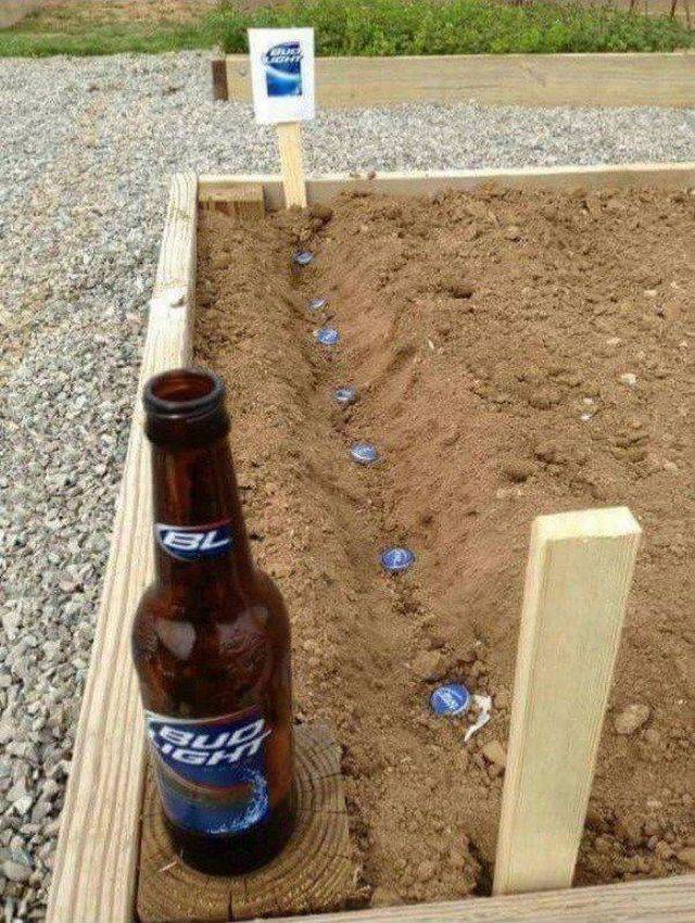 daily picdump 97 pics 9.html - 97 HD Photos | Premium Gallery 2017