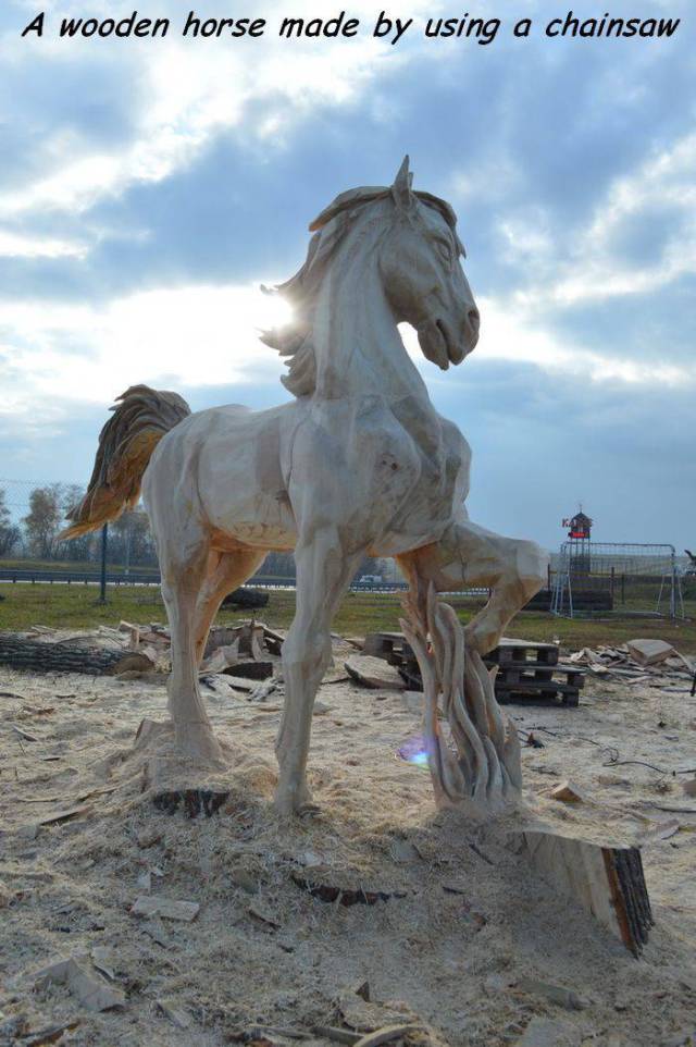 daily picdump 97 pics 9.html - 97 HD Photos | Premium Gallery 2017