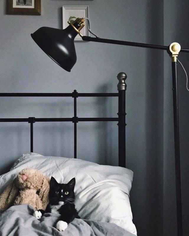 daily picdump 97 pics 9.html - 97 HD Photos | Premium Gallery 2017