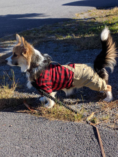 morning picdump 50 pics 5.html - 50 HD Photos | Premium Gallery 2017