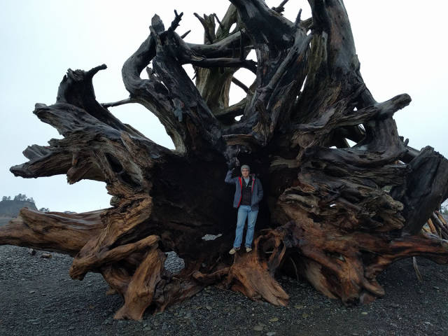 morning picdump 50 pics 5.html - 50 HD Photos | Premium Gallery 2017