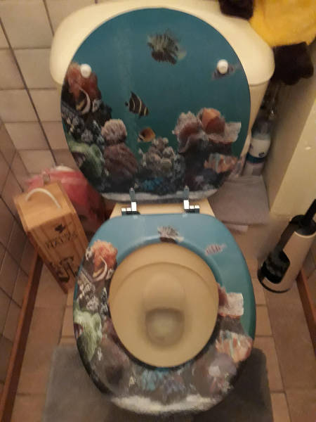 morning picdump 50 pics 5.html - 50 HD Photos | Premium Gallery 2017