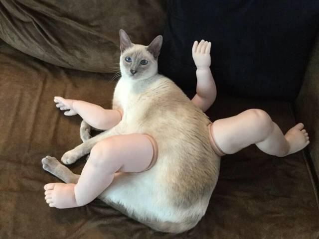 morning picdump 50 pics 5.html - 50 HD Photos | Premium Gallery 2017