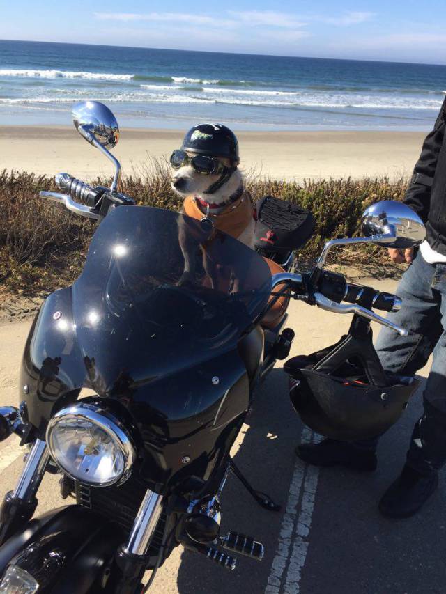 morning picdump 50 pics 5.html - 50 HD Photos | Premium Gallery 2017