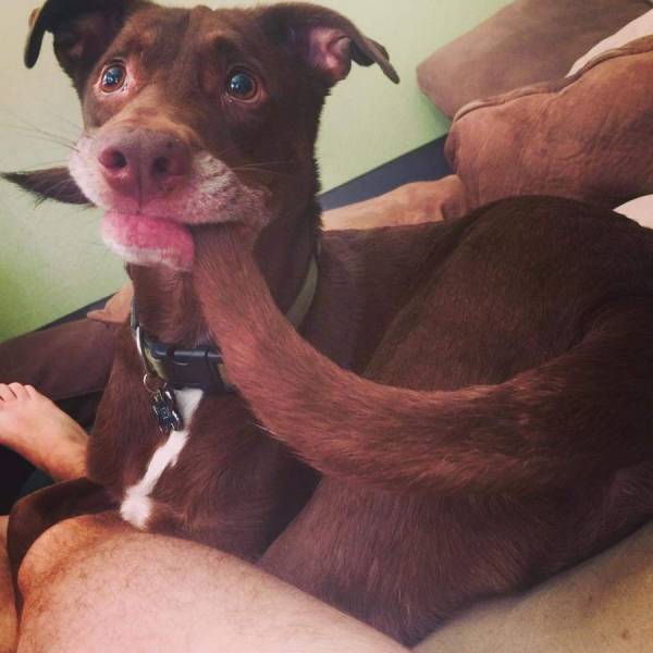 daily picdump 101 pics 39.html - 101 HD Photos | Premium Gallery 2017