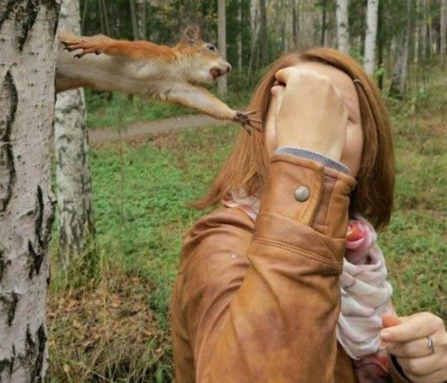 daily picdump 101 pics 39.html - 101 HD Photos | Premium Gallery 2017