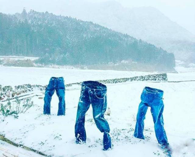 daily picdump 101 pics 39.html - 101 HD Photos | Premium Gallery 2017