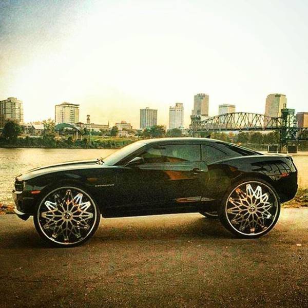 daily picdump 101 pics 39.html - 101 HD Photos | Premium Gallery 2017