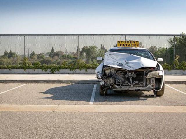 daily picdump 101 pics 39.html - 101 HD Photos | Premium Gallery 2017