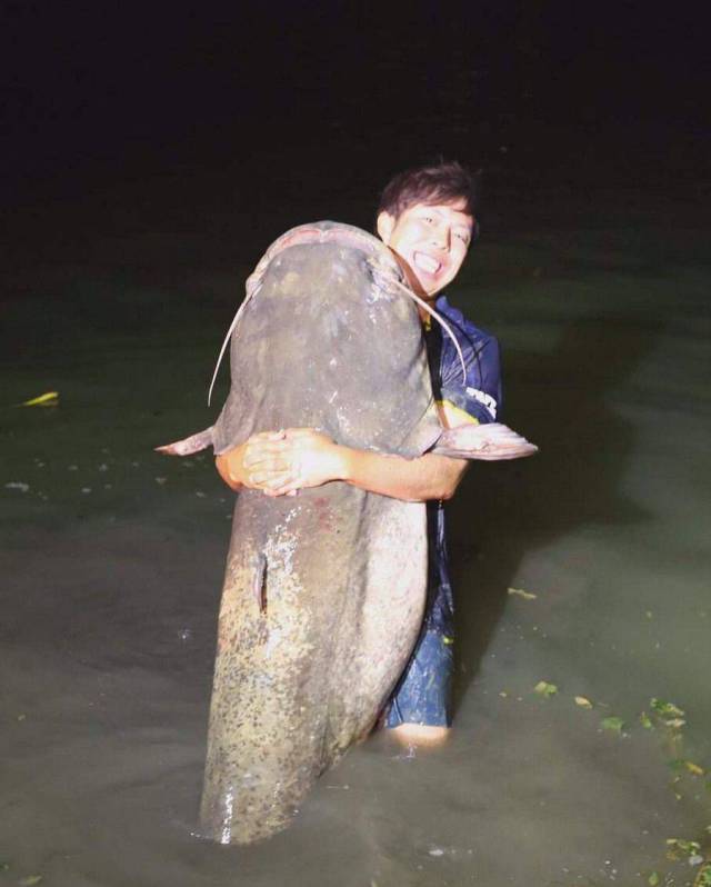 daily picdump 101 pics 39.html - 101 HD Photos | Premium Gallery 2017