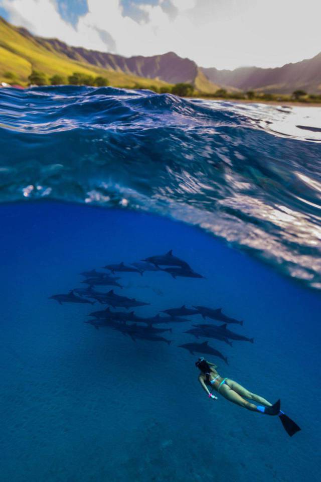 daily picdump 101 pics 39.html - 101 HD Photos | Premium Gallery 2017