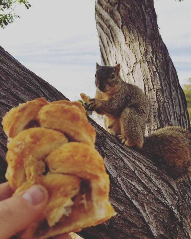 daily picdump 101 pics 39.html - 101 HD Photos | Premium Gallery 2017