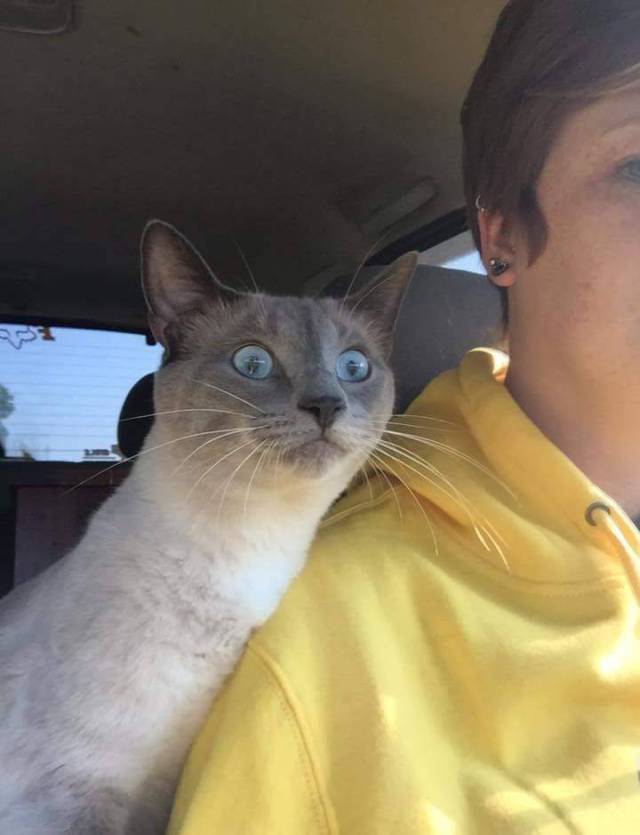 daily picdump 101 pics 39.html - 101 HD Photos | Premium Gallery 2017