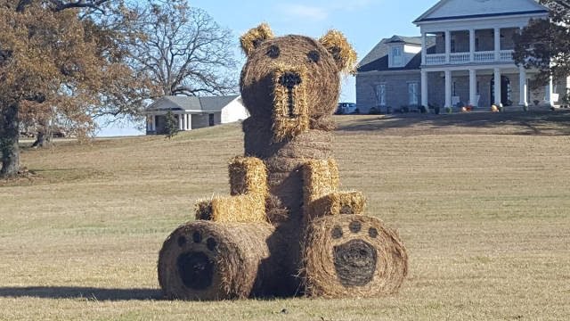 morning picdump 51 pics 24.html - 51 HD Photos | Premium Gallery 2017