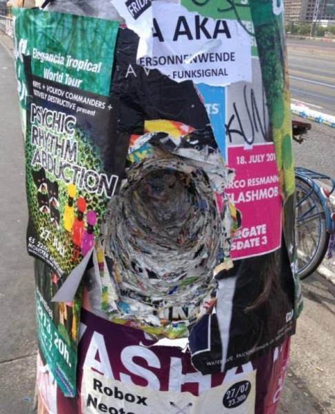 morning picdump 51 pics 24.html - 51 HD Photos | Premium Gallery 2017