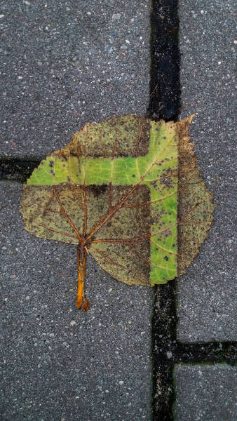 morning picdump 51 pics 24.html - 51 HD Photos | Premium Gallery 2017