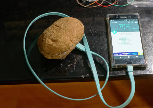 morning picdump 51 pics 24.html - 51 HD Photos | Premium Gallery 2017