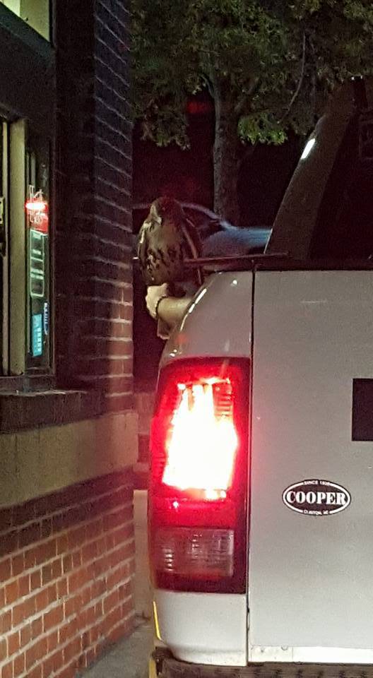 morning picdump 51 pics 24.html - 51 HD Photos | Premium Gallery 2017