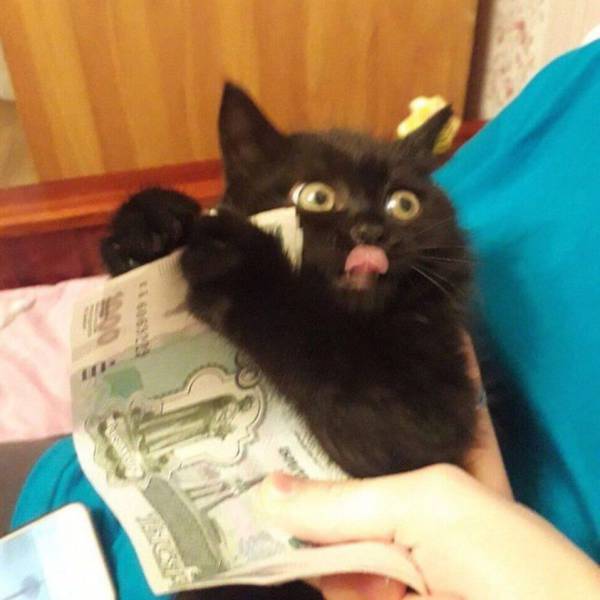 daily picdump 99 pics 8.html - 99 HD Photos | Premium Gallery 2017