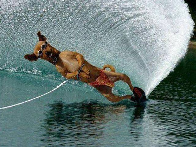 daily picdump 99 pics 8.html - 99 HD Photos | Premium Gallery 2017