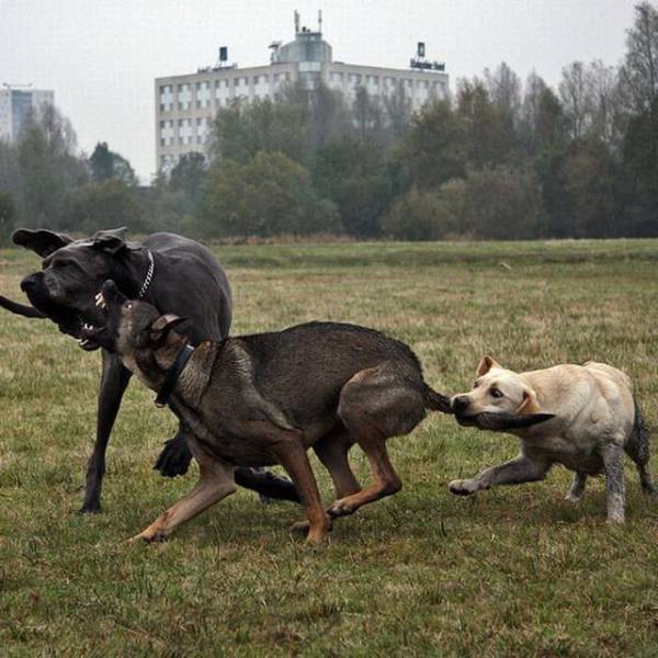 daily picdump 99 pics 8.html - 99 HD Photos | Premium Gallery 2017