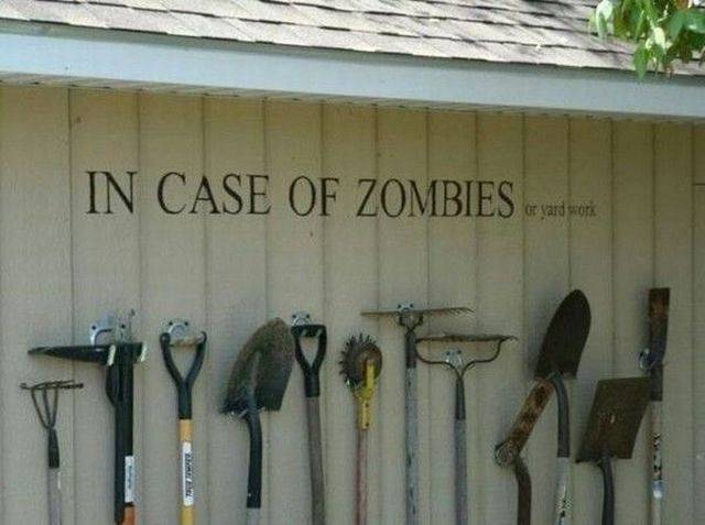 daily picdump 99 pics 8.html - 99 HD Photos | Premium Gallery 2017