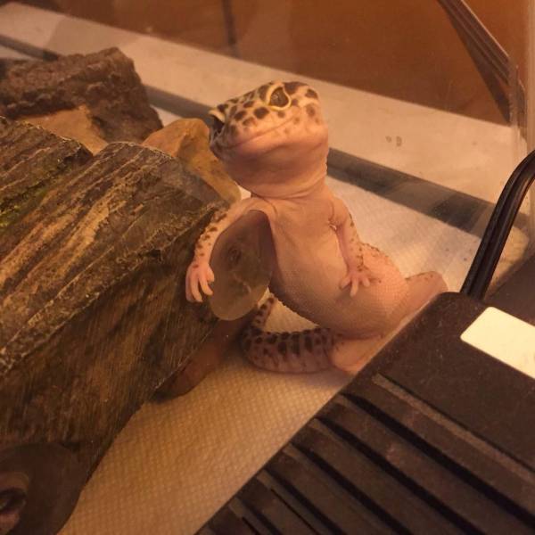 daily picdump 99 pics 8.html - 99 HD Photos | Premium Gallery 2017