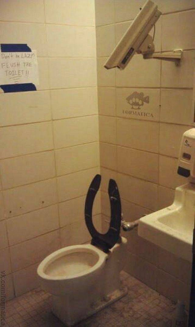 daily picdump 99 pics 8.html - 99 HD Photos | Premium Gallery 2017