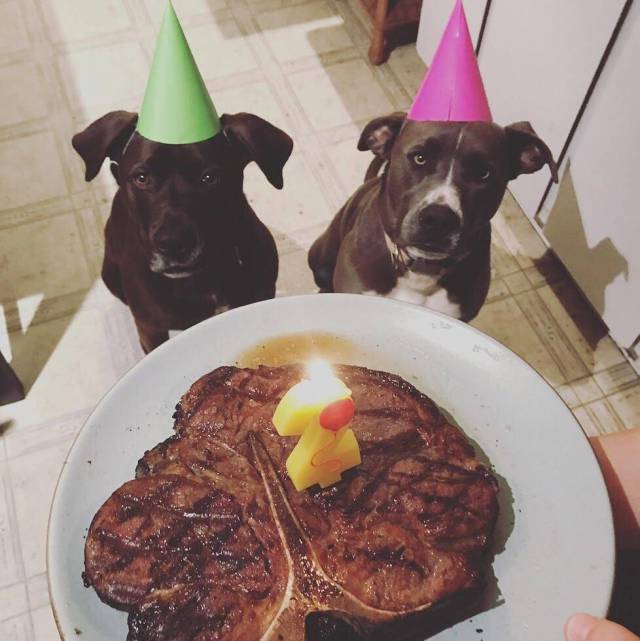 daily picdump 99 pics 8.html - 99 HD Photos | Premium Gallery 2017