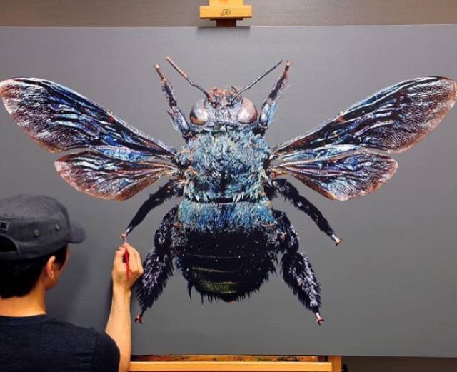 morning picdump 50 pics 3.html - 50 HD Photos | Premium Gallery 2017