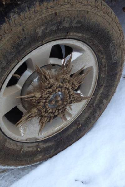 morning picdump 50 pics 3.html - 50 HD Photos | Premium Gallery 2017