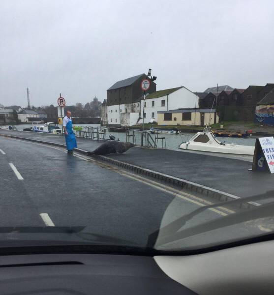 morning picdump 50 pics 3.html - 50 HD Photos | Premium Gallery 2017