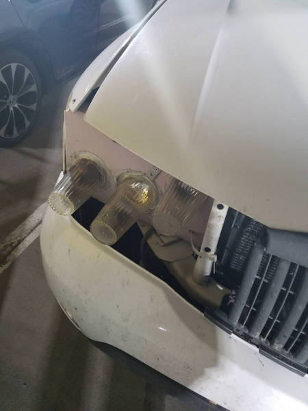 morning picdump 50 pics 3.html - 50 HD Photos | Premium Gallery 2017