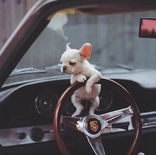 daily picdump 99 pics 36.html - 99 HD Photos | Premium Gallery 2017