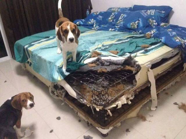 daily picdump 99 pics 36.html - 99 HD Photos | Premium Gallery 2017