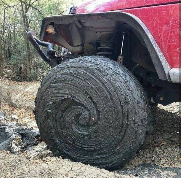 daily picdump 99 pics 36.html - 99 HD Photos | Premium Gallery 2017