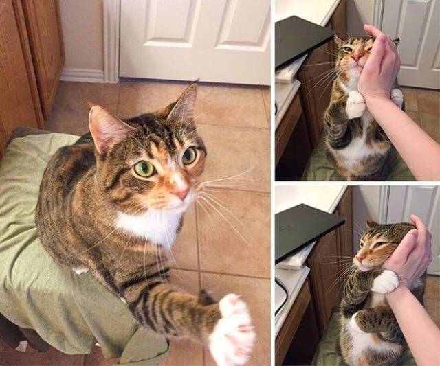 daily picdump 99 pics 36.html - 99 HD Photos | Premium Gallery 2017