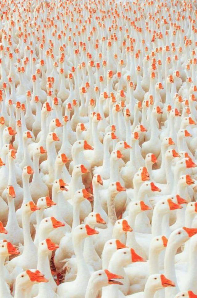 daily picdump 99 pics 36.html - 99 HD Photos | Premium Gallery 2017