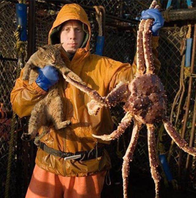 daily picdump 99 pics 36.html - 99 HD Photos | Premium Gallery 2017