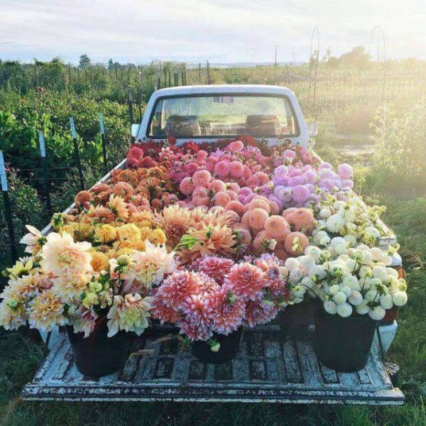 morning picdump 51 pics 25.html - 51 HD Photos | Premium Gallery 2017