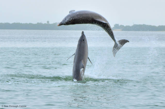 morning picdump 51 pics 25.html - 51 HD Photos | Premium Gallery 2017